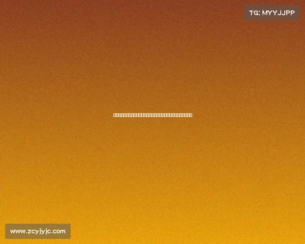 沈阳和平杯赛事规则深度剖析与全方位实用指南助您轻松掌握比赛精髓